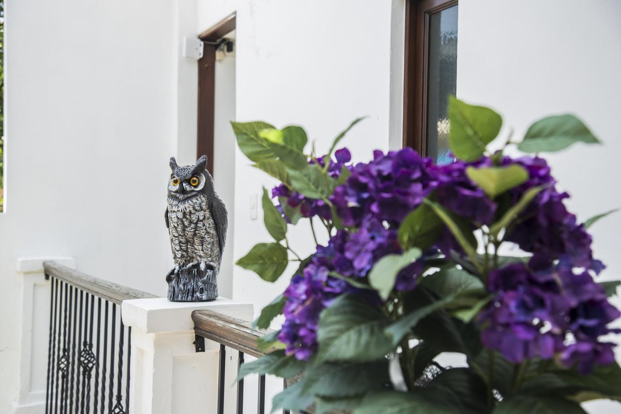 Colonial 154 H Boutique Hotel Santo Domingo Luaran gambar